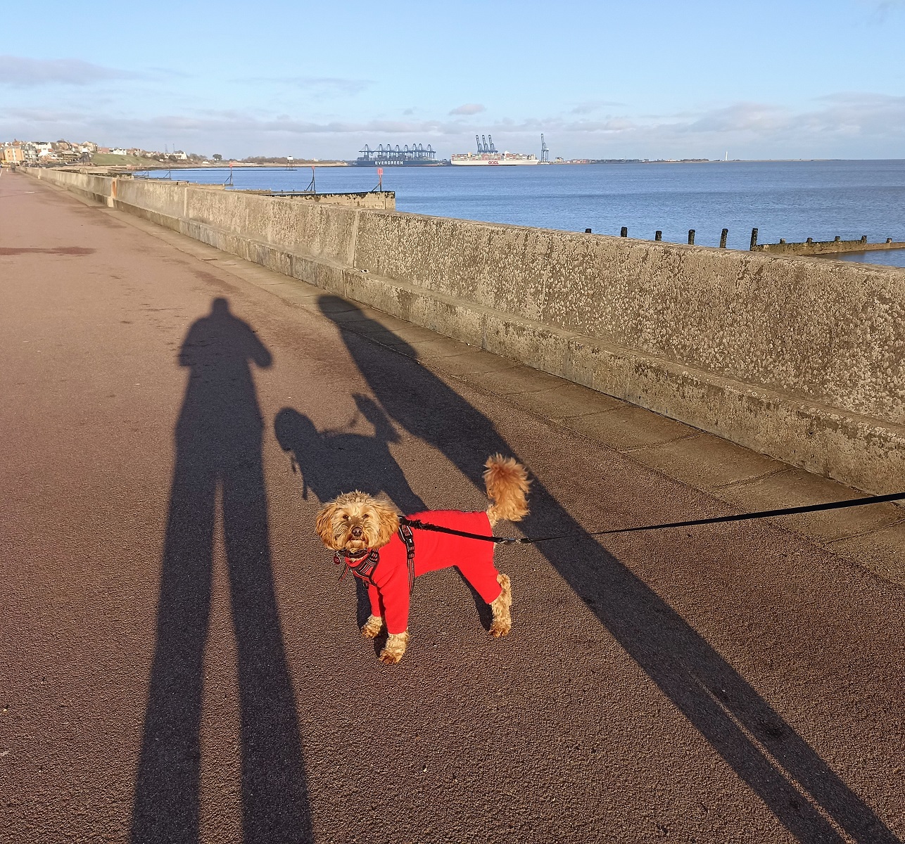 Sunday Promenade - Andy Barnes